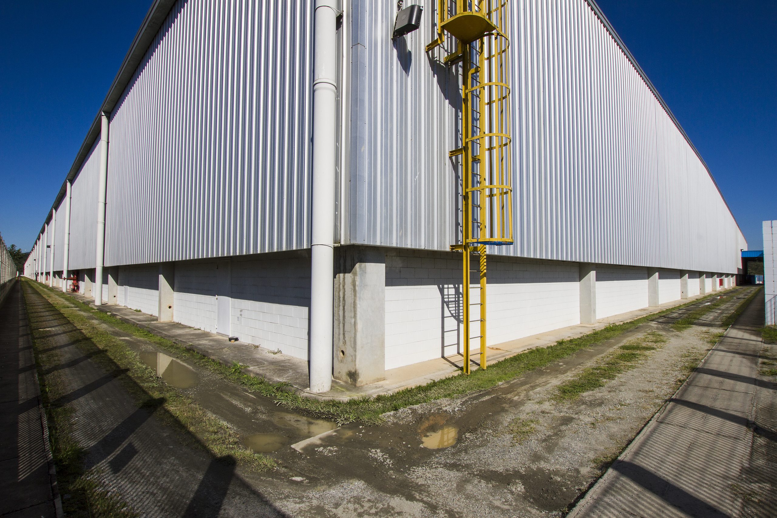 CD Mogi das Cruzes - Imagem 14